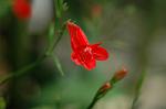 Dcim5270/DSC_6560