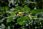 Dcim5272/DSC_1585