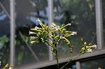 Dcim5272/DSC_1608