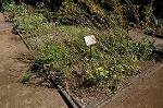 Dcim5272/DSC_1622