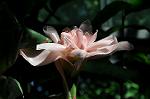 Dcim5272/DSC_1676