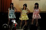 Dcim5283/DSC_2223