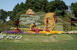 Dcim5288/DSC_7841