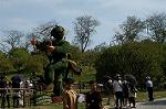 Dcim5288/DSC_7847