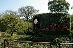 Dcim5288/DSC_7863