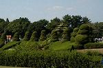 Dcim5288/DSC_7867
