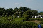 Dcim5288/DSC_7868