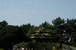 Dcim5288/DSC_7871