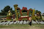 Dcim5288/DSC_7875