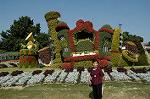 Dcim5288/DSC_7876