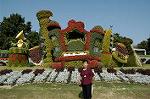 Dcim5288/DSC_7877