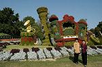 Dcim5288/DSC_7879