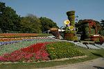 Dcim5288/DSC_7880