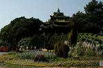 Dcim5288/DSC_7883
