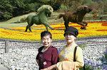 Dcim5288/DSC_7891