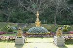 Dcim5288/DSC_7900