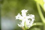 Dcim5291/DSC_7615