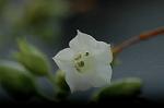 Dcim5292/DSC_7698