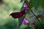 Dcim5292/DSC_7710