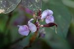 Dcim5292/DSC_7712