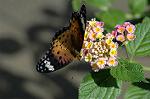 Dcim5293/DSC_7885