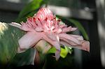 Dcim5294/DSC_7933