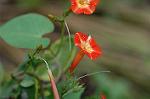 Dcim5294/DSC_7995