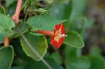 Dcim5294/DSC_7998