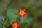 Dcim5294/DSC_8000