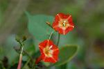 Dcim5294/DSC_8002