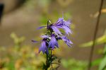 Dcim5295/DSC_2653