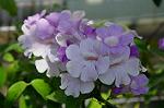 Dcim5296/DSC_2836