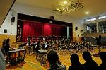 Dcim5301/DSC_3318