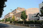 Dcim5301/DSC_3333