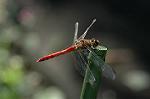 Dcim5305/DSC_8405