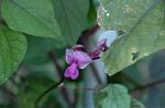 Dcim5306/DSC_8468