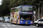 Dcim5310/DSC_3538