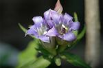 Dcim5313/DSC_8748