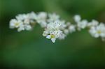 Dcim5314/DSC_8845