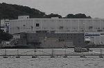 Dcim5341/DSC_5923