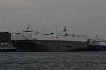 Dcim5341/DSC_5982