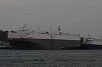 Dcim5341/DSC_5983