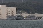 Dcim5343/DSC_6121