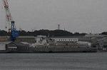 Dcim5343/DSC_6234