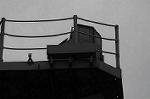 Dcim5344/DSC_6324