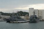 Dcim5357/DSC_8765
