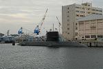 Dcim5359/DSC_8889
