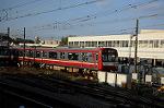 Dcim5361/DSC_7493