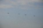 Dcim5362/DSC_7681