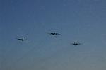 Dcim5364/DSC_7993